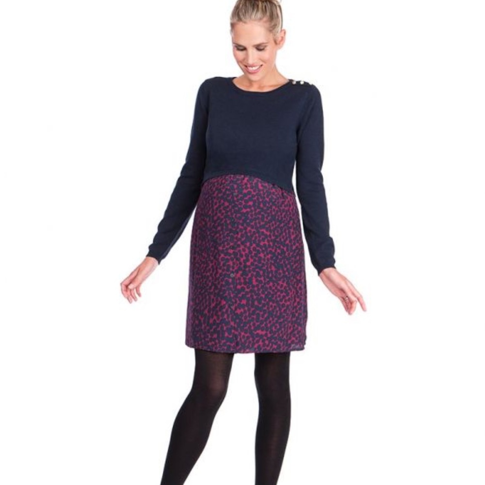 Seraphine Maternity and Nursing Dress